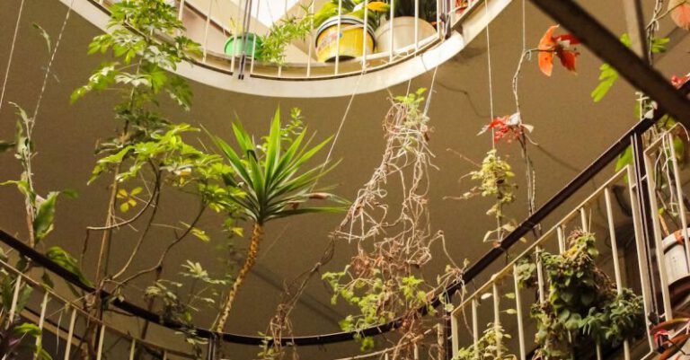 Galleries - Potted Plants on Interior Balconies of a Residential Building